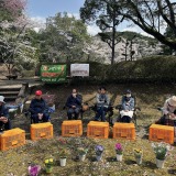 2025花見3