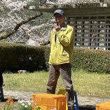 3/28お花見ミーティング