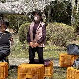 3/28お花見ミーティング